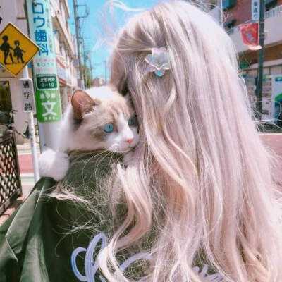 leyu乐鱼手机app下载截图