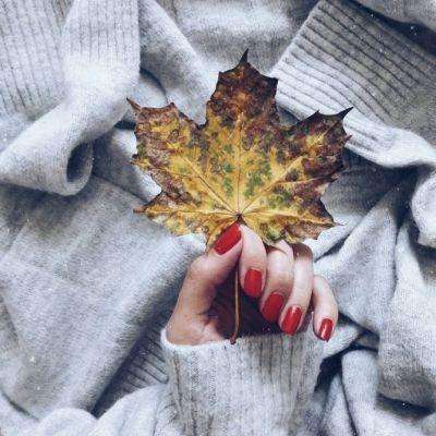 开元ky7818老版本