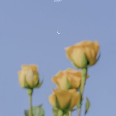 博鱼app下载手机版