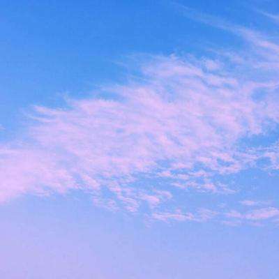 leyu乐鱼手机app下载