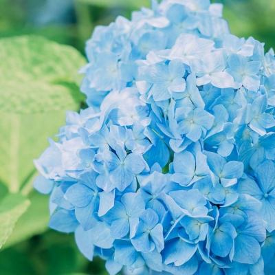 ayx爱游戏全站手机app下载