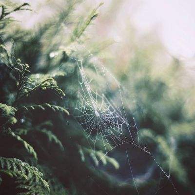 乐鱼全站官网在线登录