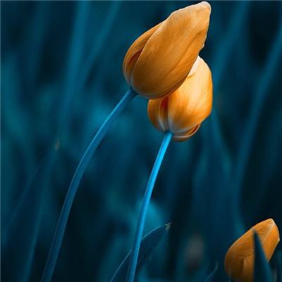 皇冠登录入口welcome